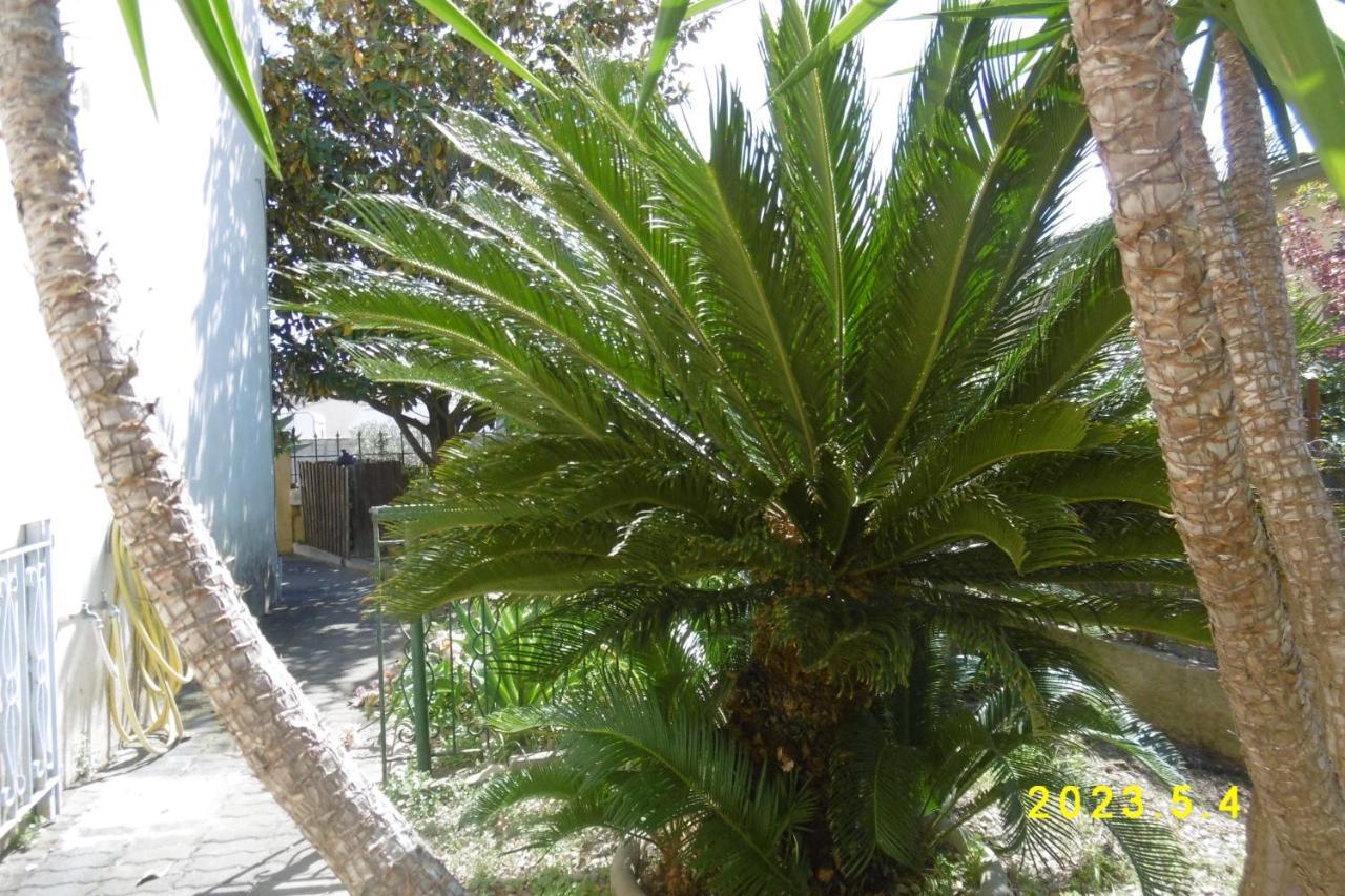 Rez De Chaussee Studio Climatise Dans Villa Aigues-Mortes Exterior foto